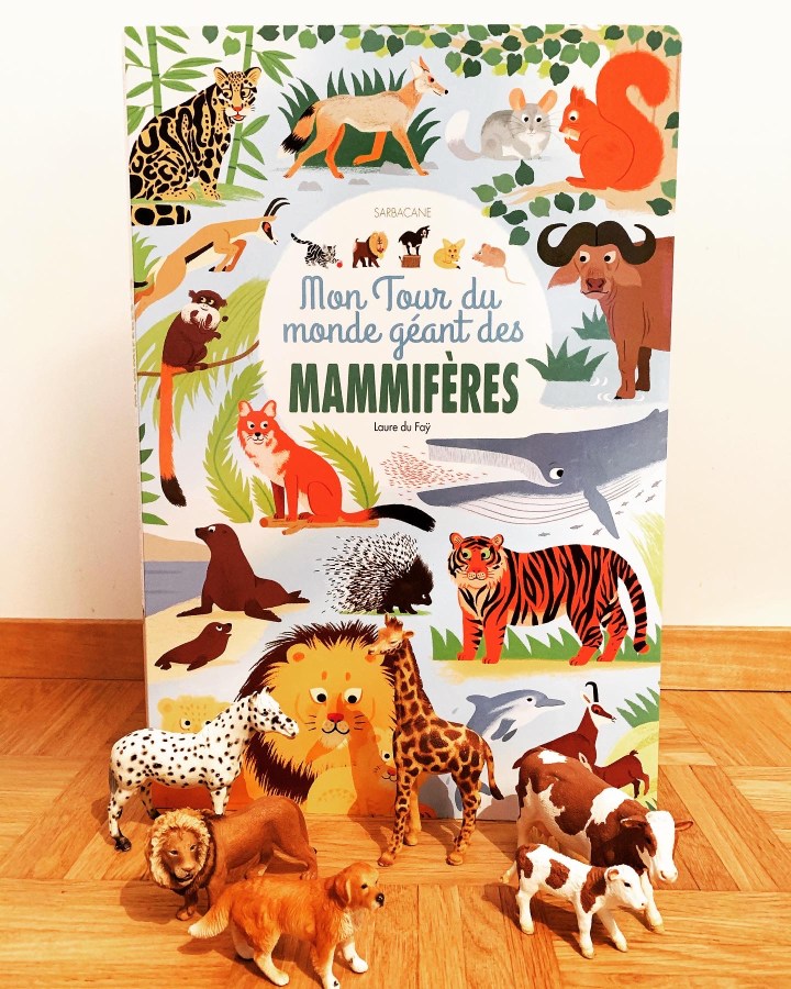Mon tour du monde géant des&nbsp;mammifères