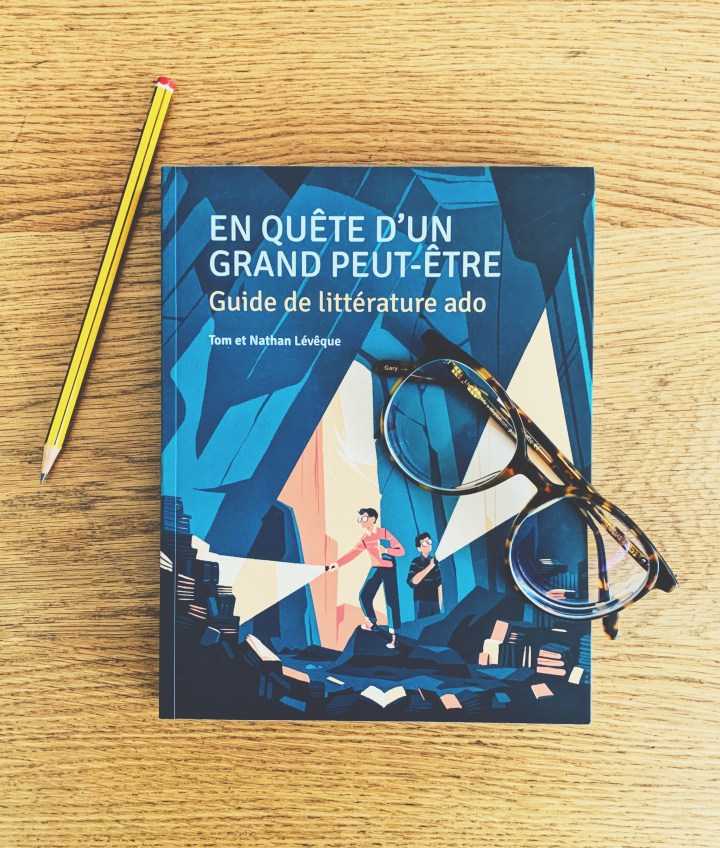 En quête d&rsquo;un grand peut-être – Guide de littérature&nbsp;ado