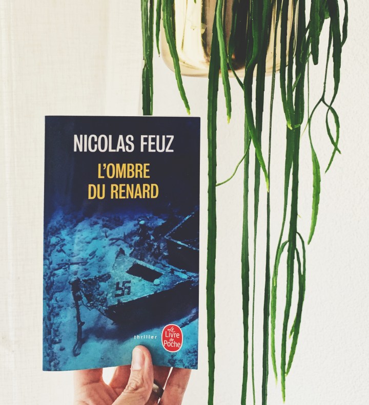 L&rsquo;ombre du renard